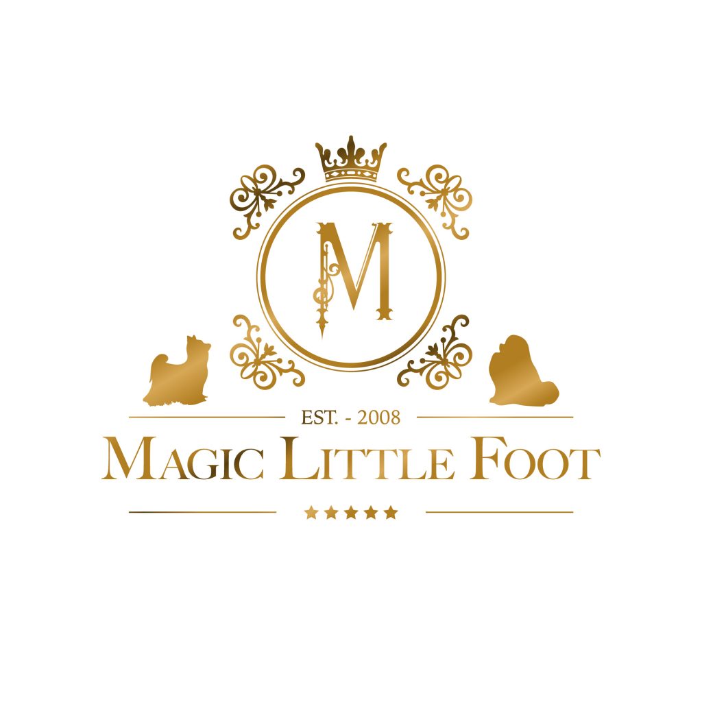 Magic Little Foot logó színes