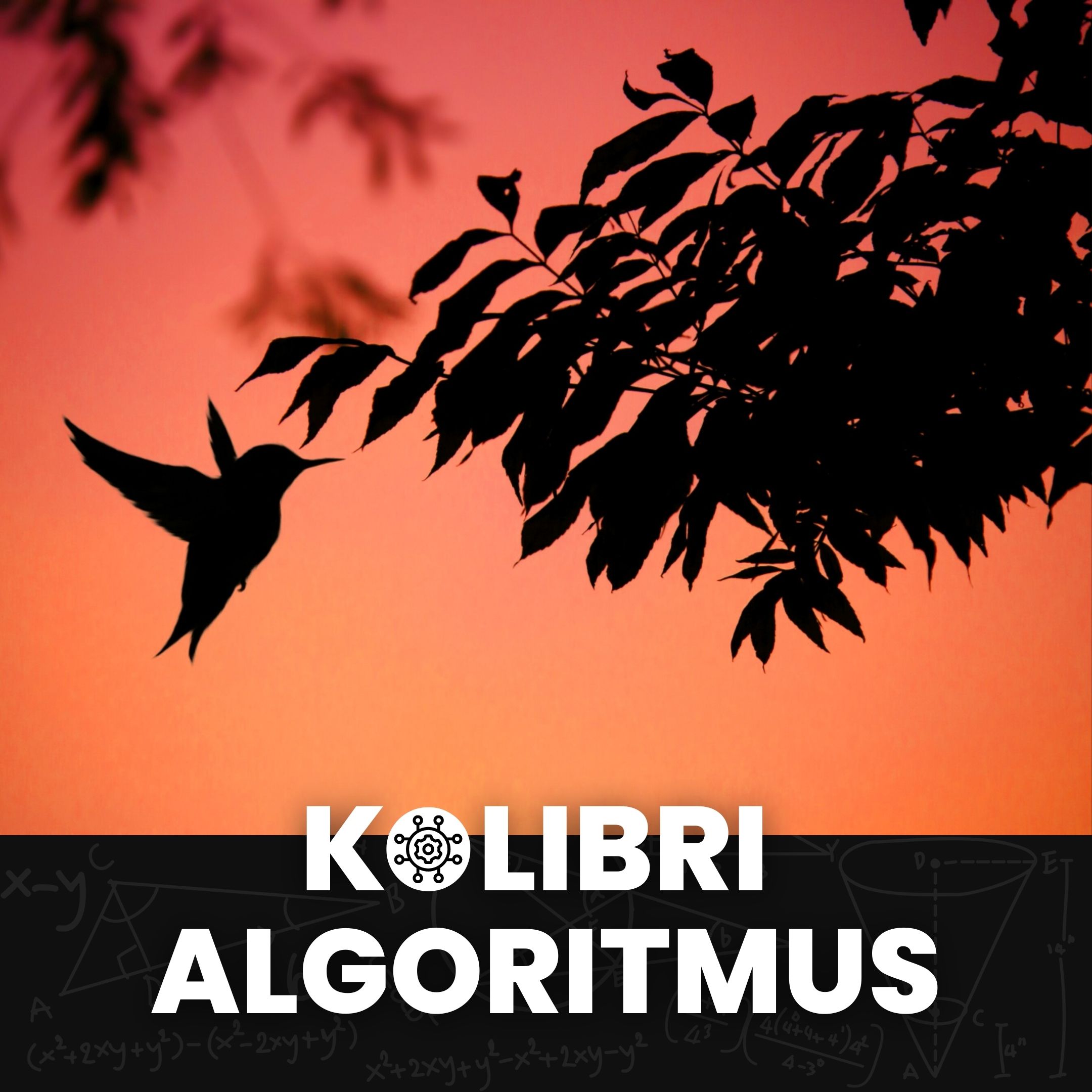 Google algoritmus: Kolibri