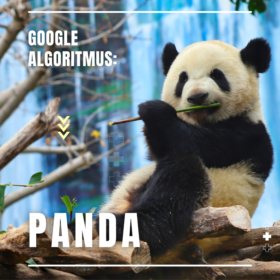 Google algoritmus: Panda