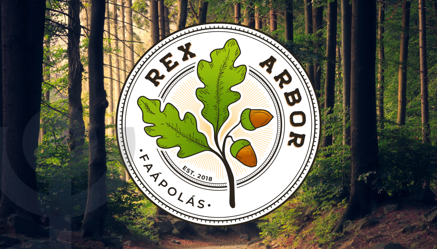 Partnerbemutató – Rex Arbor Faápolás
